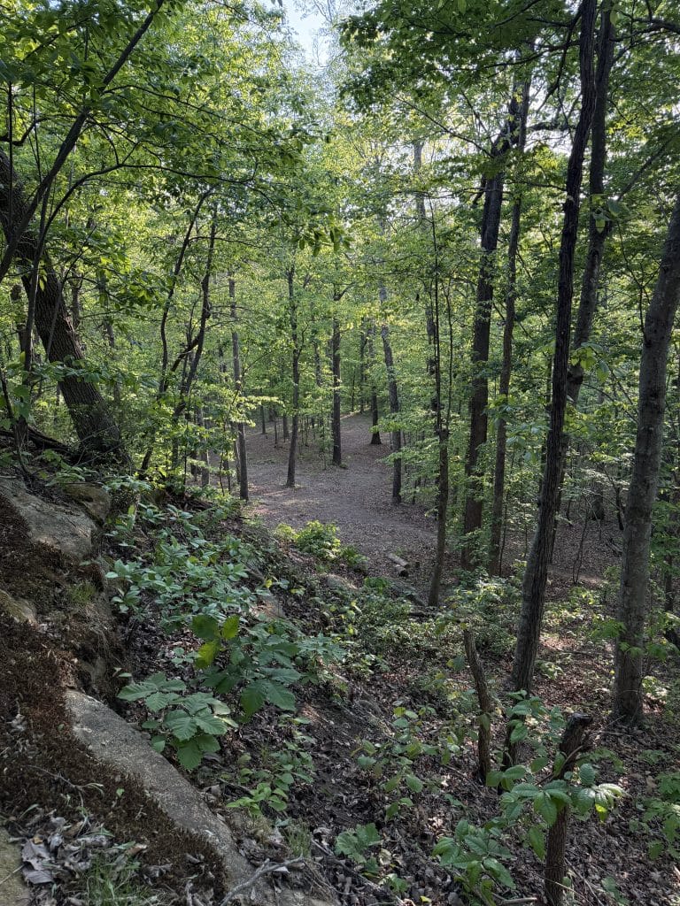 Why Stay-and-Play Trips Are Changing Disc Golf