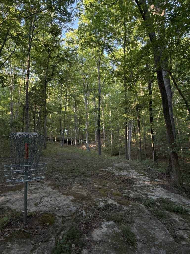 Why Private Disc Golf Courses Are Becoming Some of the Most Sought-After Destinations in the Sport